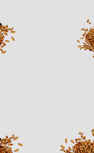 Orzo-